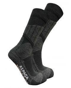Alpacasocks - Cross Country Sock