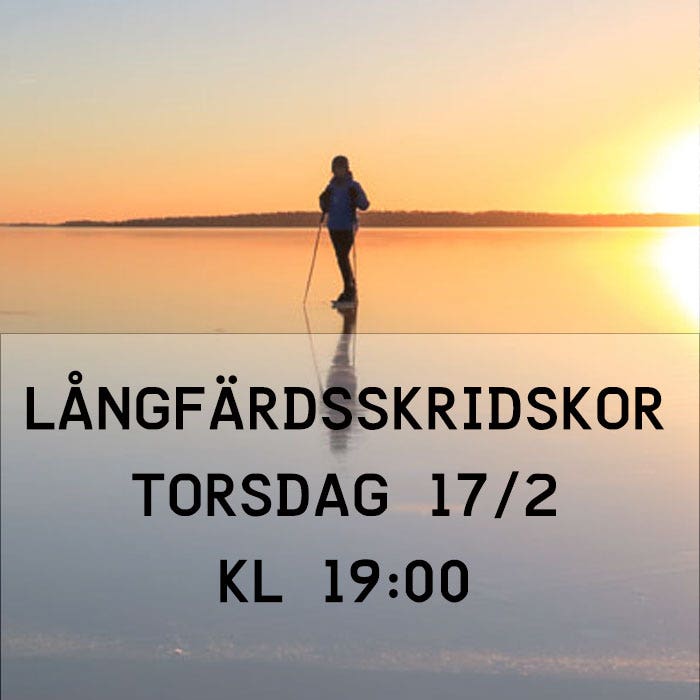 Teknikträning långfärdsskridskor